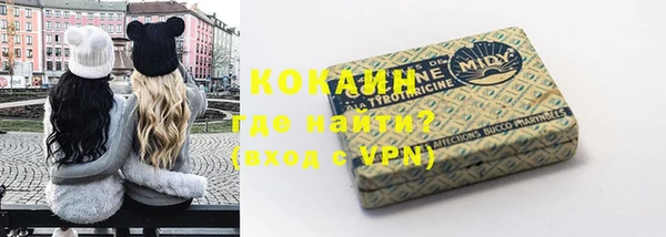 амф Гусь-Хрустальный