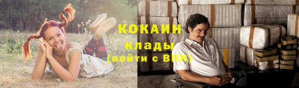 гидра Гусиноозёрск