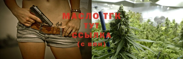 амф Гусь-Хрустальный
