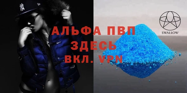 амф Гусь-Хрустальный