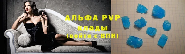амф Гусь-Хрустальный