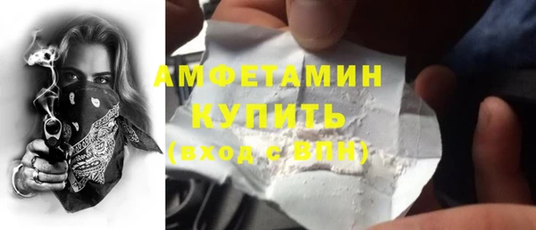 амф Гусь-Хрустальный