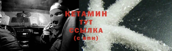 амф Гусь-Хрустальный