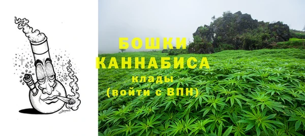 гидра Гусиноозёрск