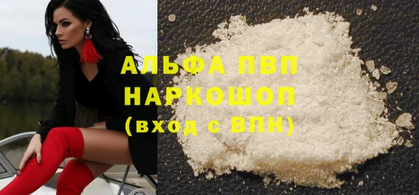прущий лед Гусев