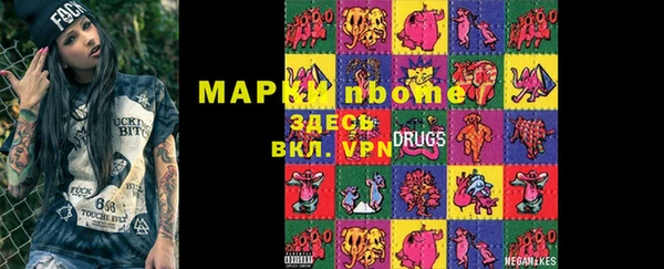 амф Гусь-Хрустальный