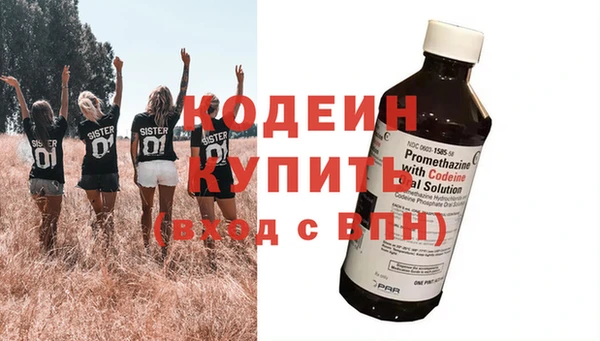 амф Гусь-Хрустальный