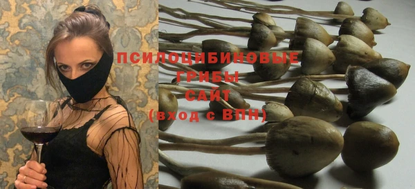 гидра Гусиноозёрск