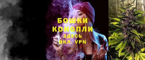 прущий лед Гусев