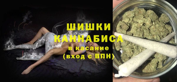 амф Гусь-Хрустальный