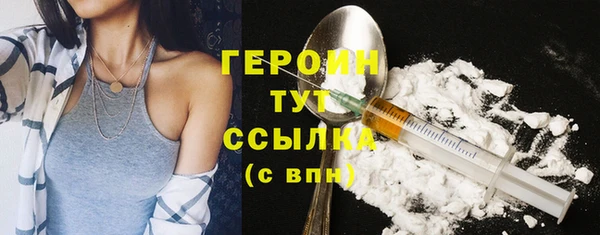 гидра Гусиноозёрск