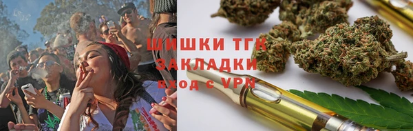гидра Гусиноозёрск