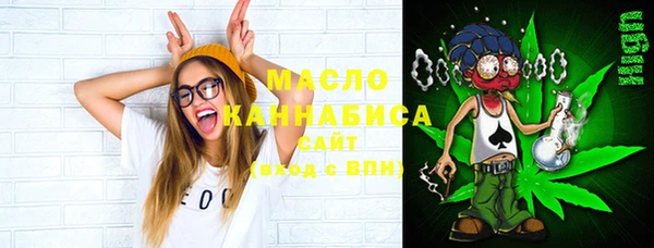 гидра Гусиноозёрск